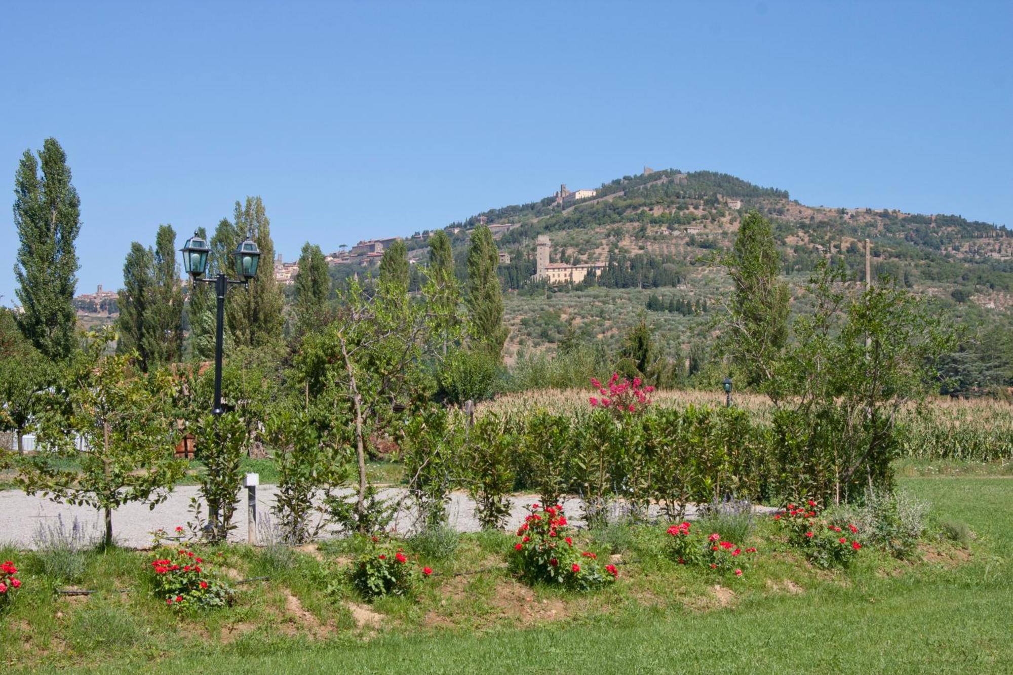 Casale L'Antico Carro Bed & Breakfast Cortona Exterior photo