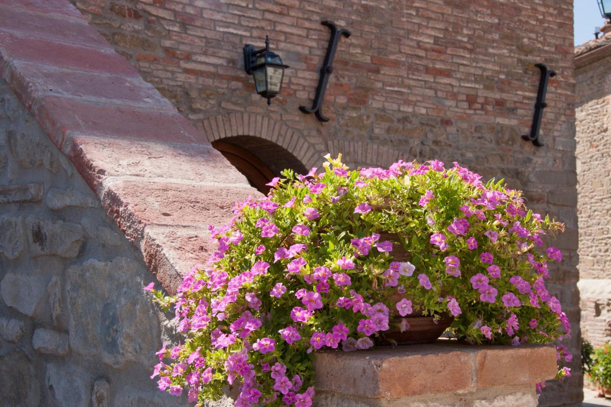 Casale L'Antico Carro Bed & Breakfast Cortona Exterior photo