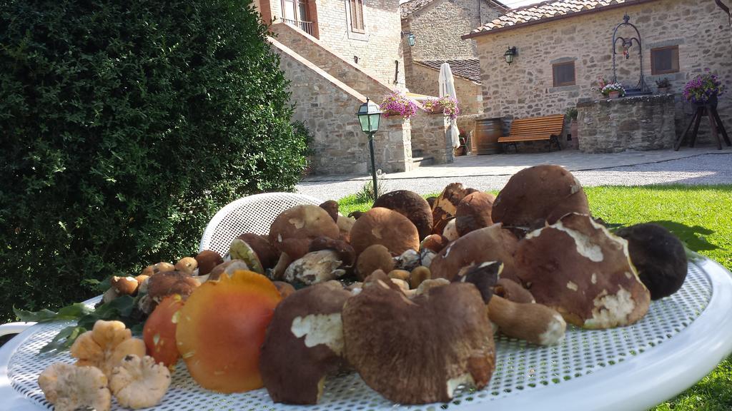 Casale L'Antico Carro Bed & Breakfast Cortona Exterior photo