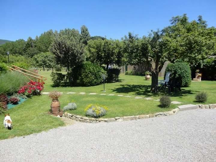 Casale L'Antico Carro Bed & Breakfast Cortona Exterior photo